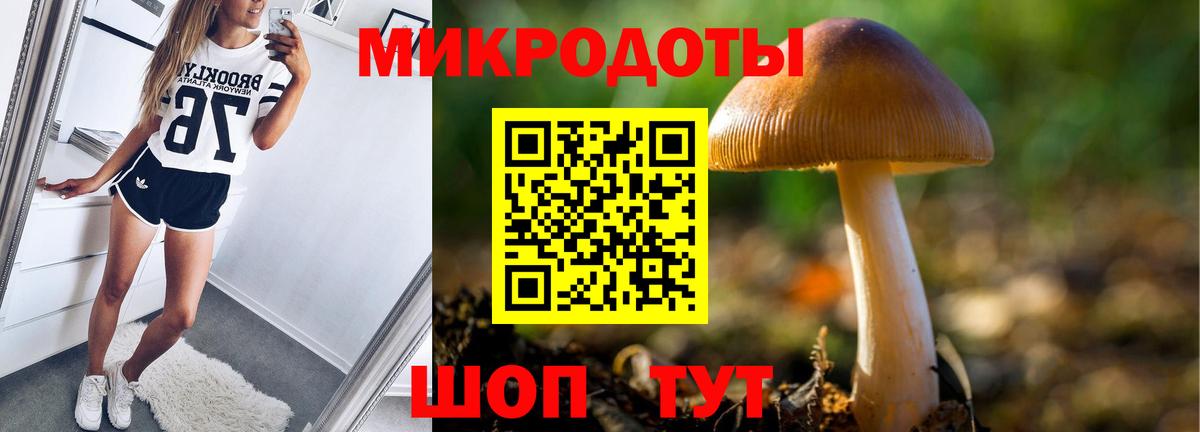 Псилоцибиновые грибы мухоморы  Псилоцибиновые грибы GOLDEN TEACHER  Советск  Вход с VPN 